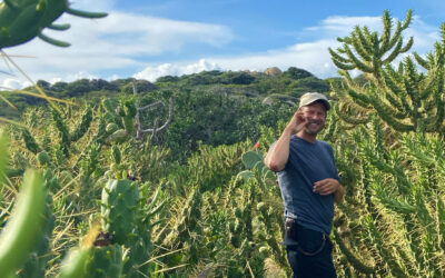 Sardinien VII – Von einsamen Königsstränden und lebhaften Tintenfischen